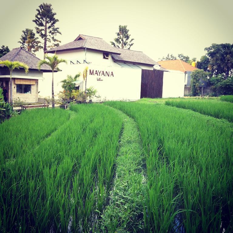 Mayana Villas Canggu Dış mekan fotoğraf